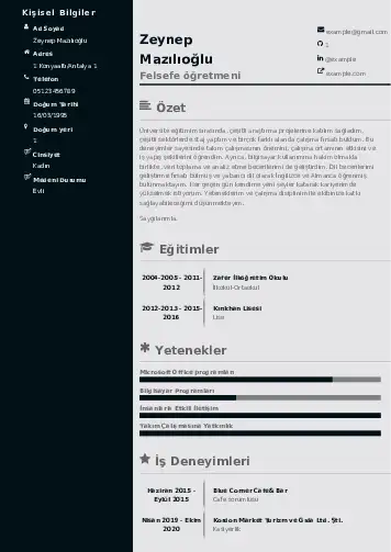 Felsefe Öğretmeni CV Örnekleri cv indir